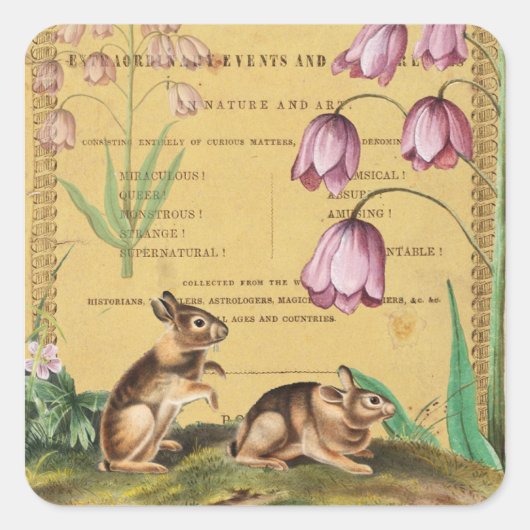 Autocollant de collage de lapin Journal Planificat (Devant)