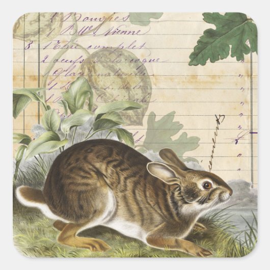 Autocollant de collage de lapin Journal Planificat (Devant)