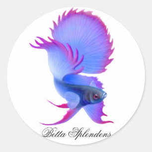 Autocollant de combat de poissons de Betta