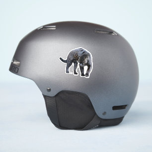 Autocollant de contour de Jaguar Diablo