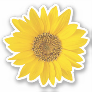 Autocollant de contours de tournesol jaune vif