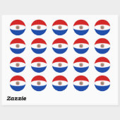 Autocollant de drapeau Fisheye Paraguay (Feuille)