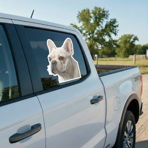 Autocollant de fenêtre de voiture avec photo de co