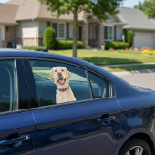 Autocollant de fenêtre photo pour animal de compag