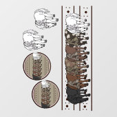 Autocollant de fenêtre pour chevaux (Feuille)