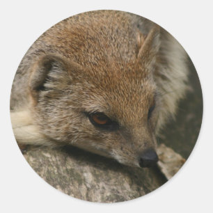 Autocollant de fermeture mongole