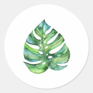 Autocollant de feuille de Monstera, sensation