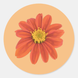 Autocollant de fleur orange rouge