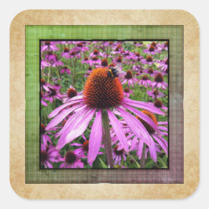 Autocollant de fleur sauvage Echinacea Coneflower