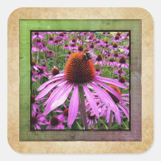 Autocollant de fleur sauvage Echinacea Coneflower  (Devant)