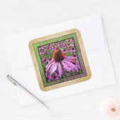 Autocollant de fleur sauvage Echinacea Coneflower  (Enveloppe)