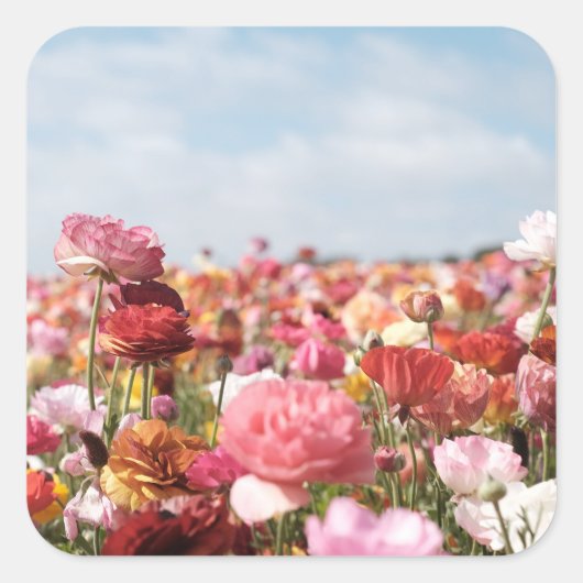 Autocollant de fleurs printanières colorées (Devant)