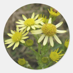 Autocollant de fleurs sauvages jaunes jolies
