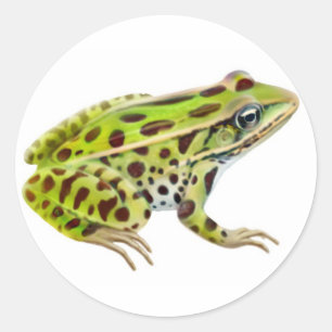 Autocollant de grenouille léopard