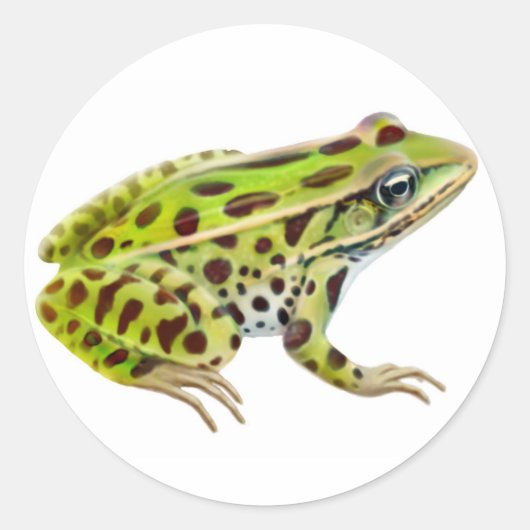 Autocollant de grenouille léopard (Devant)