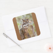 Autocollant de hibou (Enveloppe)