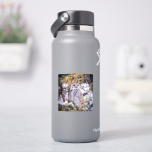 Autocollant de hibou