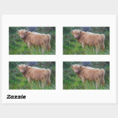 Autocollant de jeune vache des Highlands (Feuille)