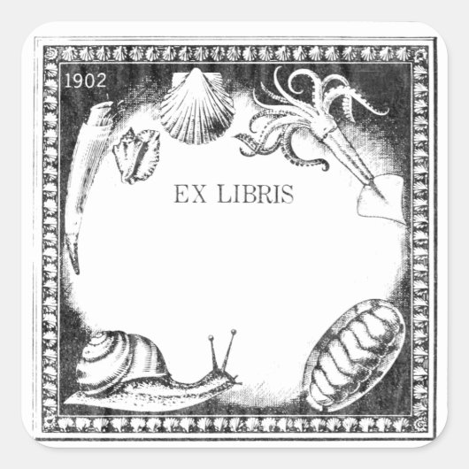 Autocollant de la plaque de cuisson Sea Creatures (Devant)