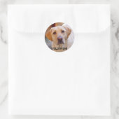Autocollant de laboratoire jaune (Sac)