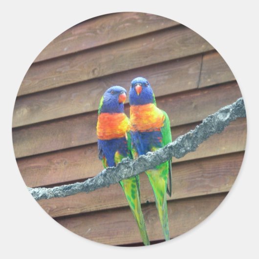 Autocollant de Lorikeets d'arc-en-ciel (Devant)