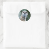 Autocollant de Meerkat (Sac)