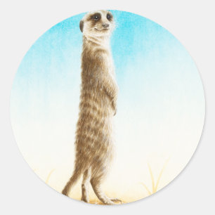 Autocollant de Meerkat