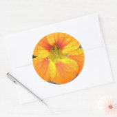 Autocollant de Nasturtium (Enveloppe)