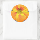 Autocollant de Nasturtium (Sac)