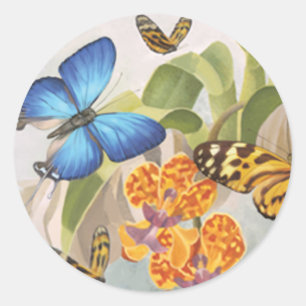 Autocollant de papillons et d'orchidées
