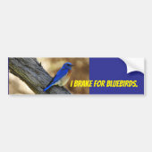 Autocollant de pare-chocs Bluebird (Devant)