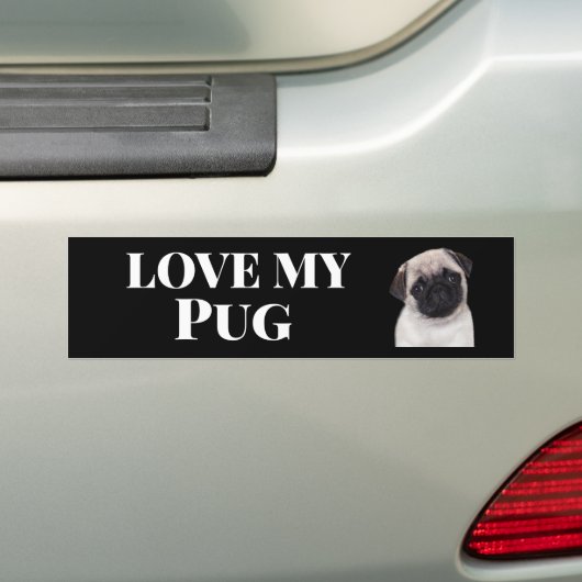 autocollant de pare-chocs carlin (En voiture)