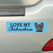 Autocollant de pare-chocs Chihuahua (En voiture)