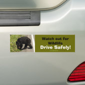 Autocollant de pare-chocs de soutien de la faune d (En voiture)