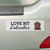 Autocollant de pare-chocs Labrador (En voiture)