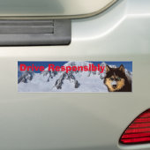 Autocollant de pare-chocs Sibérien Husky (En voiture)