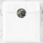 Autocollant de partenariat de chien guide Labrado (Sac)