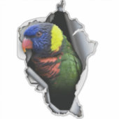 Autocollant de perroquet Lorikeet arc-en-ciel – Dé (Devant)