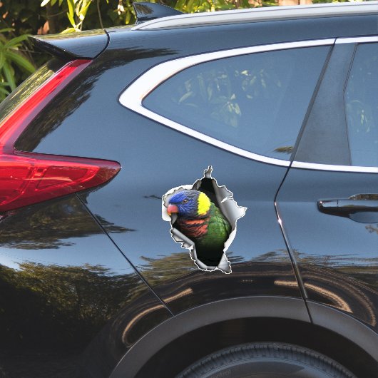 Autocollant de perroquet Lorikeet arc-en-ciel – Dé (Coté voiture)