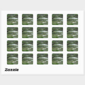 Autocollant de photo de nénuphar (Feuille)