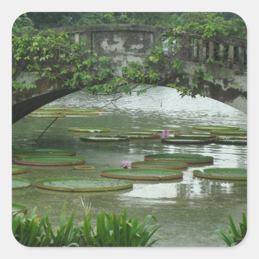 Autocollant de photo de nénuphar (Devant)