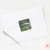 Autocollant de photo de nénuphar (Enveloppe)