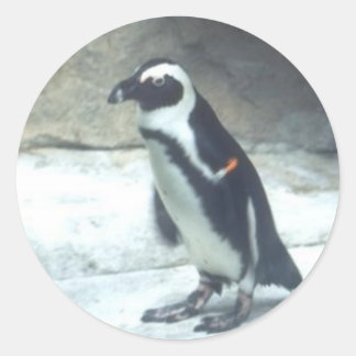 Autocollant de pingouin