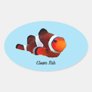 Autocollant de poisson clown
