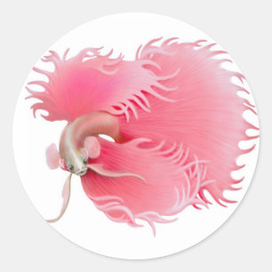 Autocollant de poisson Red Betta Splendens