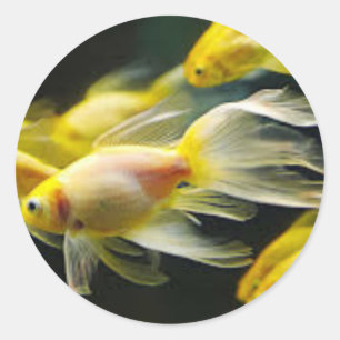 Autocollant de poisson rouge