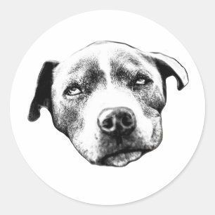 Autocollant de portrait réaliste de Pit Bull