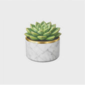 Autocollant de pot de succulente en marbre blanc d (Devant)