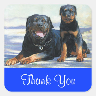 Autocollant de remerciement pour chiot Rottweiler