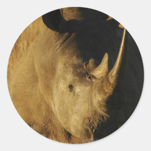 Autocollant de rhinocéros